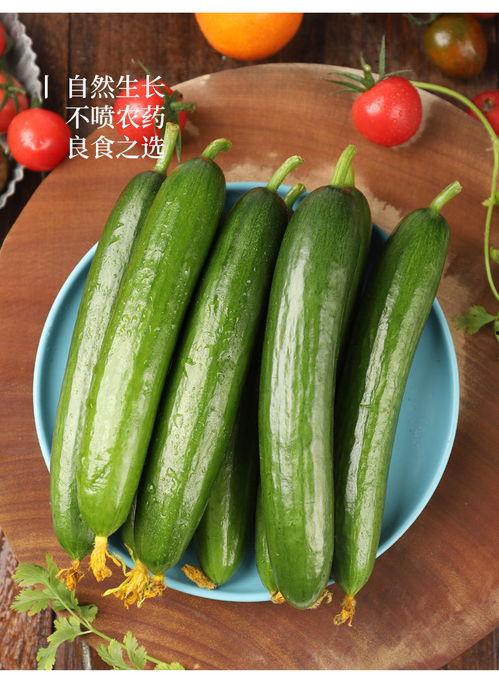 荷兰网红吃瓜视频大全,趣味横生的日常生活瞬间  第3张