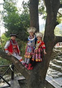 苗寨吃瓜事件是真的吗视频