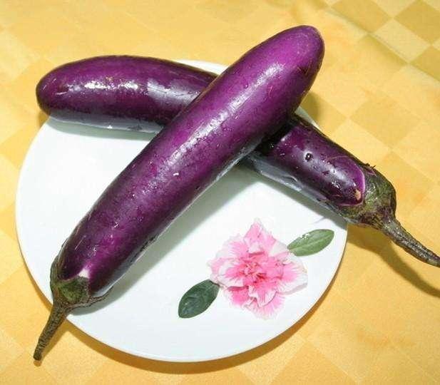 小鸡可以吃茄瓜么嘛视频  第3张
