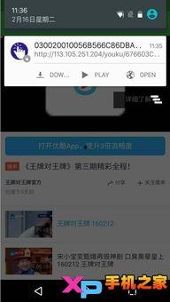 网红吃瓜八卦视频下载软件,一键下载八卦视频，尽享娱乐盛宴！
