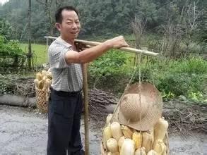 云南丽江小伙吃瓜视频全集